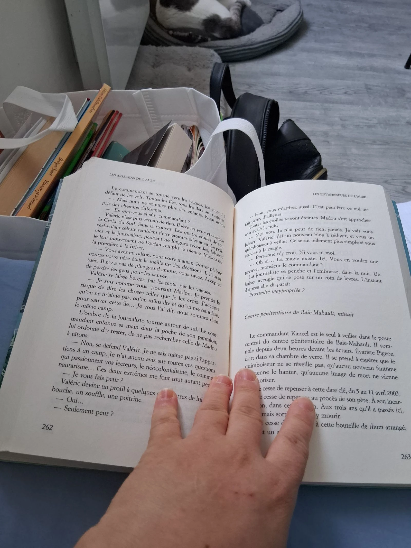 Libro los asesinos del amanecer – photo 6